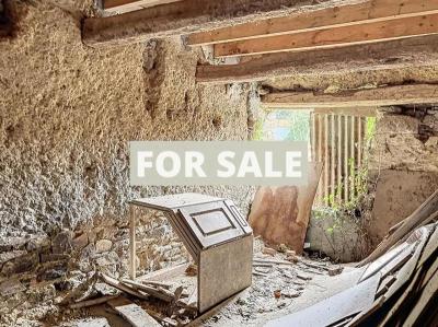 Barn to Restore, Great Blank Canvass Project