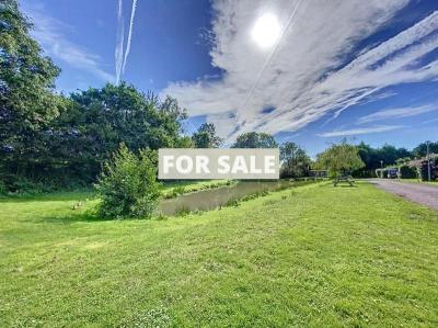 Property For Sale