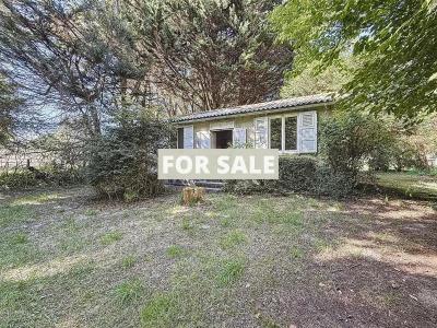 Detached House with Mature Garden