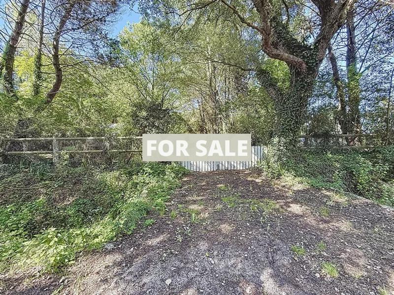 Detached House with Mature Garden