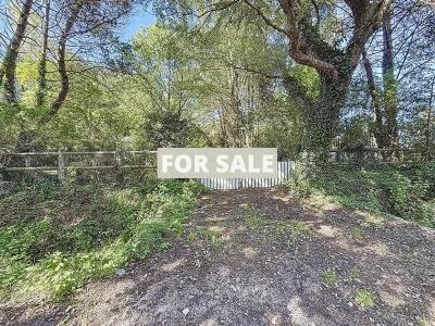 Detached House with Mature Garden