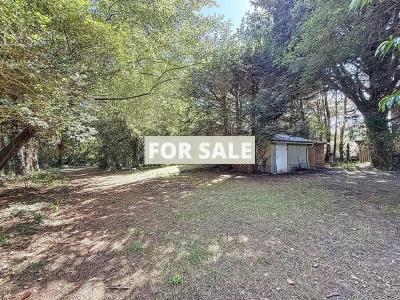 Detached House with Mature Garden