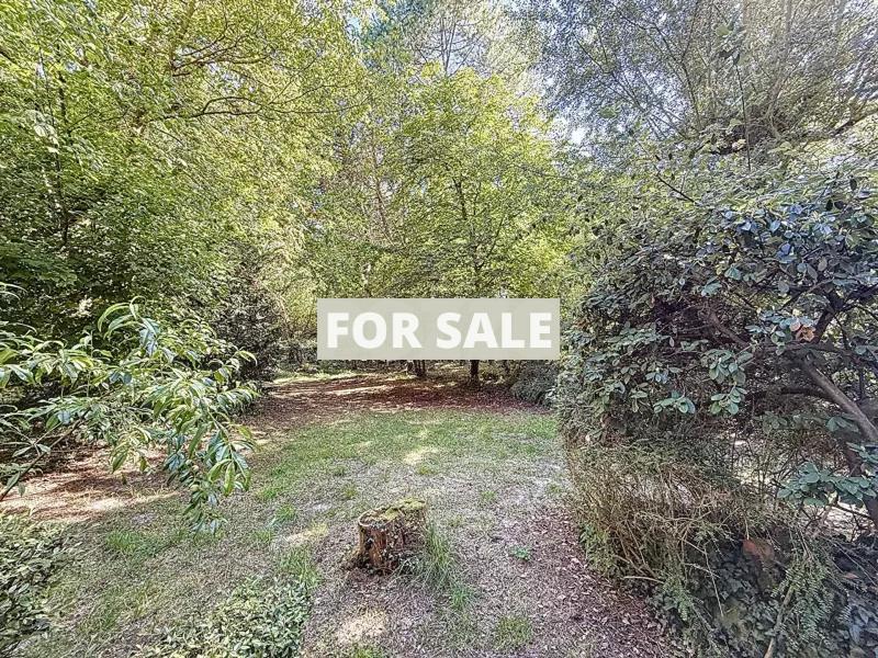 Detached House with Mature Garden