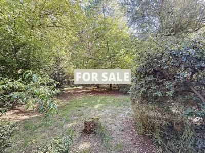 Detached House with Mature Garden