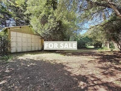 Detached House with Mature Garden