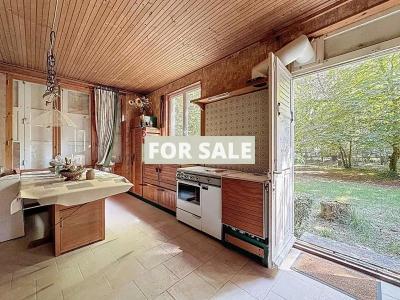 Detached House with Mature Garden