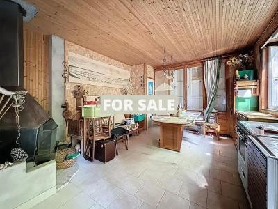 Detached House with Mature Garden