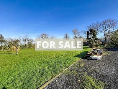 Detached House with Landscaped Garden