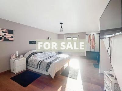 Detached House with Landscaped Garden