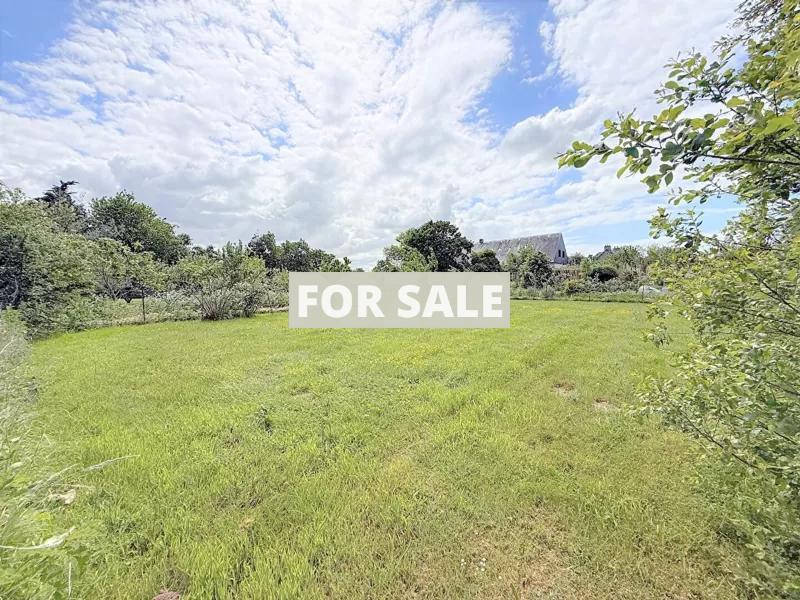 Property For Sale