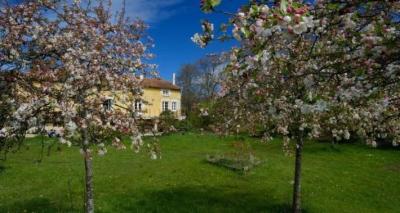 Watermill In An Idyllic Rural Setting in Eight Hectares