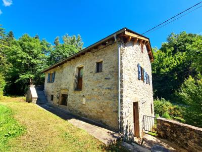 Fully Renovated Former Mill With Terrace and Land