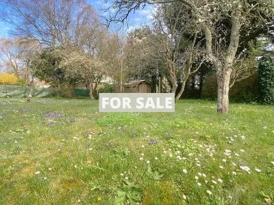 Property For Sale