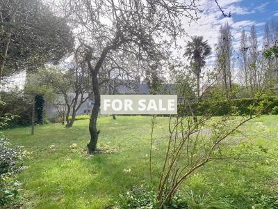 Property For Sale