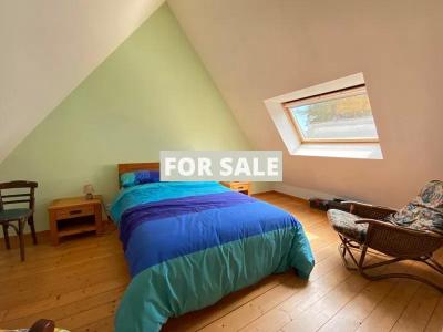 Beautiful House with Guest Cottage and Garden