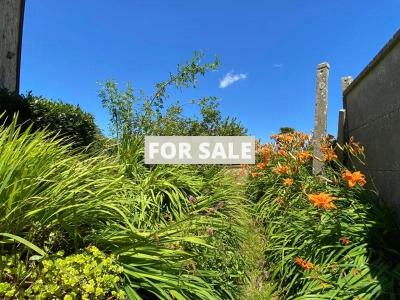 Beautiful House with Guest Cottage and Garden