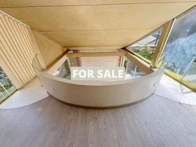 Beautiful and Large Property with Many Options