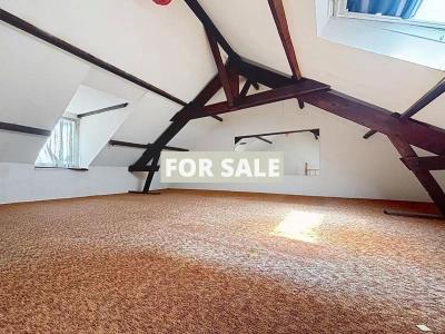 Beautiful and Large Property with Many Options