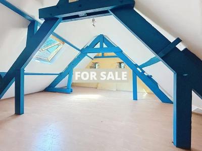 Beautiful and Large Property with Many Options