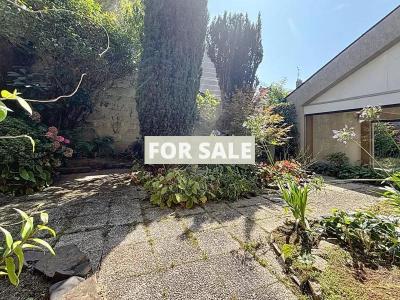 Beautiful and Large Property with Many Options
