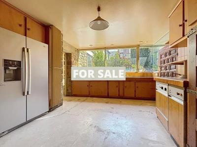 Beautiful and Large Property with Many Options