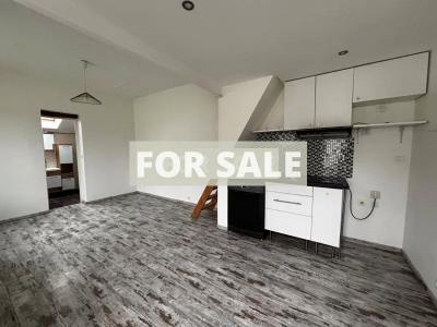 Modern House with Landscaped Garden