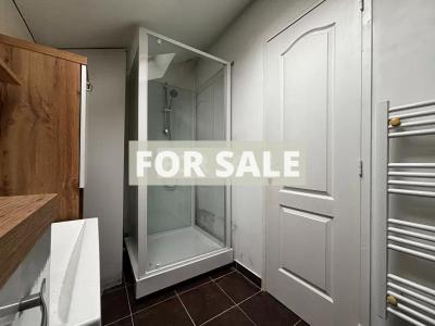 Modern House with Landscaped Garden