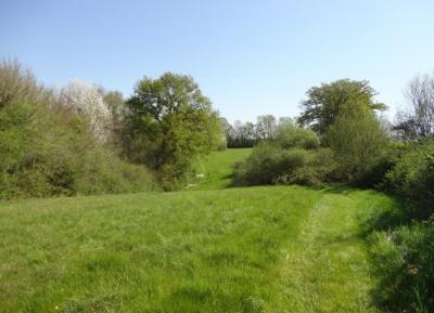 Watermill In An Idyllic Rural Setting in Eight Hectares