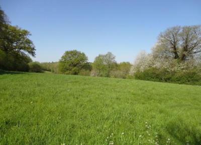 Watermill In An Idyllic Rural Setting in Eight Hectares