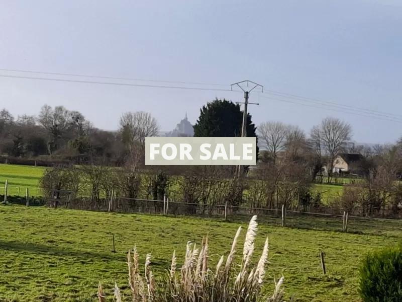 Detached House with Garden