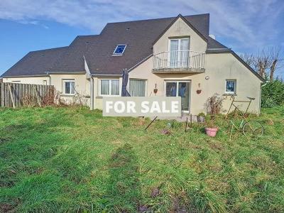 Detached House with Garden