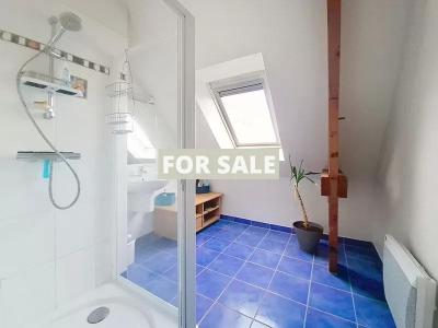 Detached House with Garden