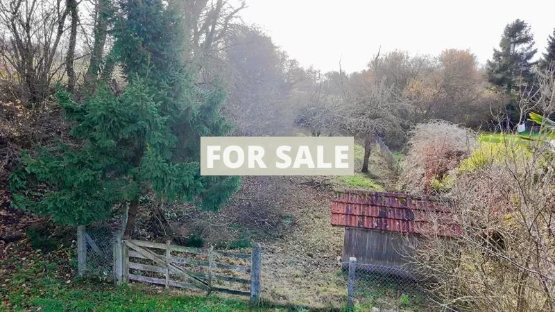 Detached House with Garden