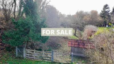 Detached House with Garden