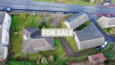 Detached House with Garden