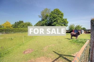 Detached House with Garden