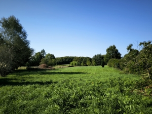 Building Plot with Services Nearby