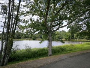 Village Bakery with Shop and Living Accommodation