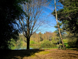 Stone Houses, Outbuildings, Pond in the Countryside