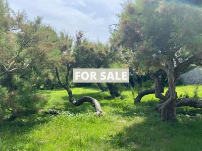 Detached House with Garden by the Coast