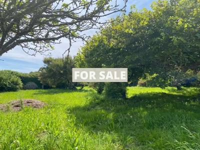 Detached House with Garden by the Coast