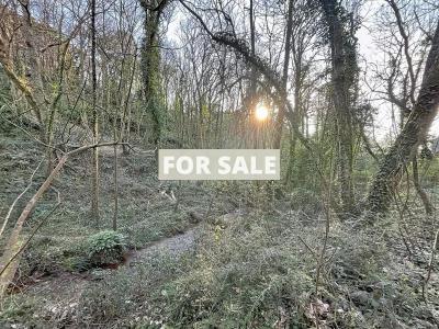 Detached Country House Close to the Coast