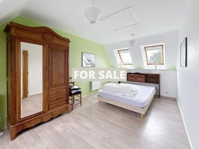 Two Houses Surrounded By Countryside