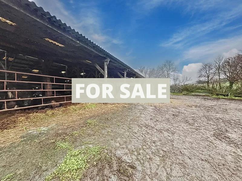 Vast Huge Country House with Several Outbuildings