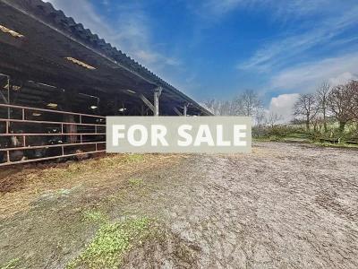 Vast Huge Country House with Several Outbuildings