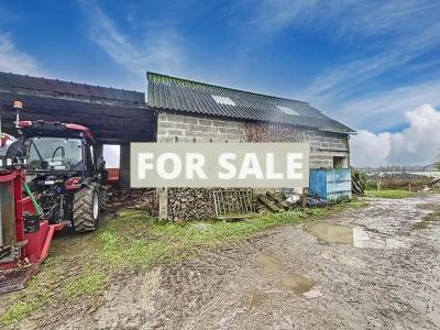 Vast Huge Country House with Several Outbuildings