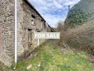 Two Houses to Renovate at Bargain Price