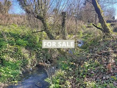 Detached Country House with Large Garden