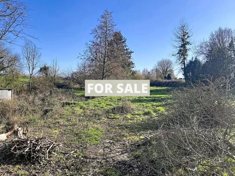 Detached Country House with Large Garden