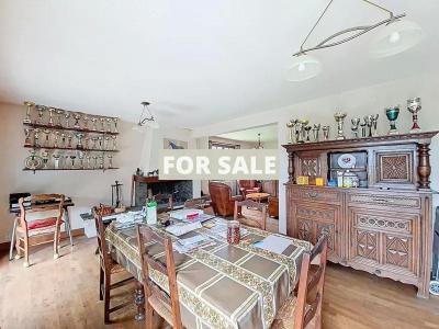 Delightful Detached House and Lovely Garden